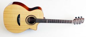 DCTギターはG-310CE他、コンパクトボディのFシリーズ、Vシリーズ等を展示予定です。 発売以来着実にファンを増やしているDCTギターを是非チェックしてみて下さい。 
